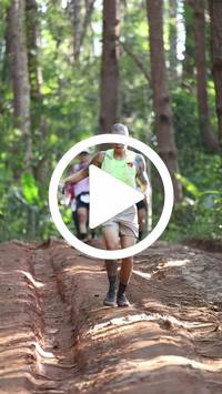 BIB:  <button type="button" onclick="openModal(26569766)" class="btn btn-primary btn-sm float-right" data-toggle="modal" data-target=".modal-high-quality">
                <i class="fa fa-download"></i> Download
                </button>